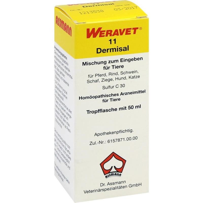 DERMISAL 11 Tropfen vet.