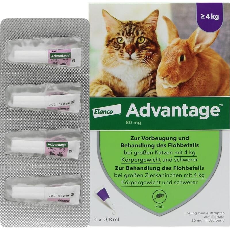 ADVANTAGE 80 mg f.gr.Katzen u.gr.Zierkaninchen