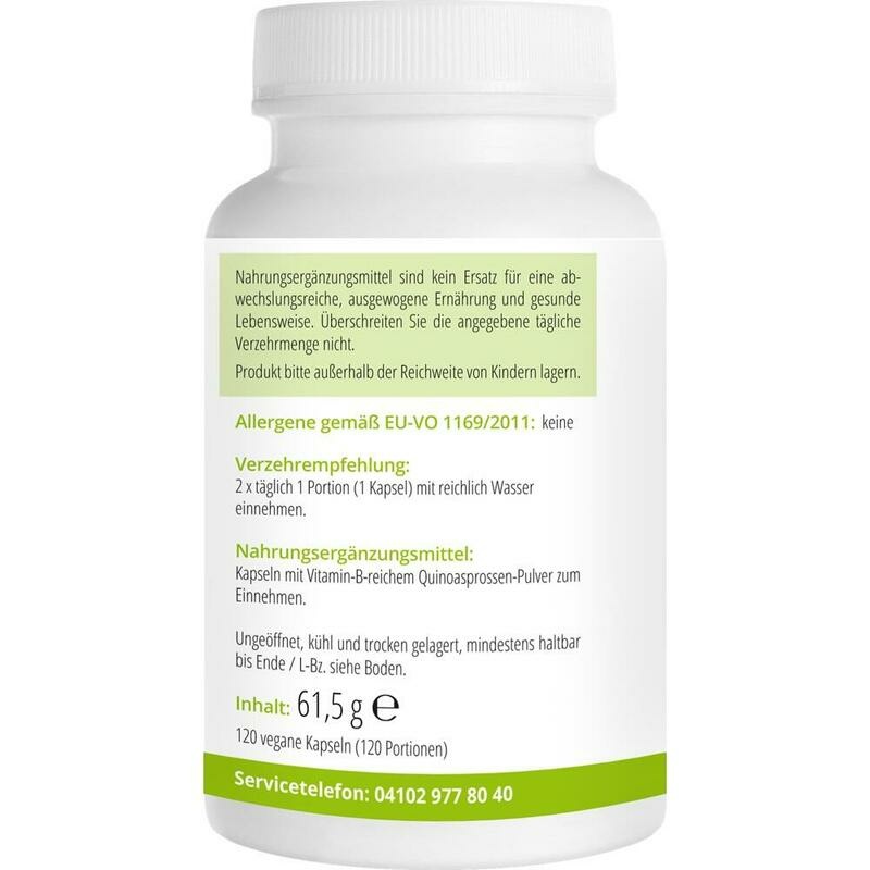 VITAMIN B KOMPLEX nat.aus Quinoasprossen-Extr.Kps.